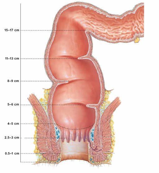 a técnica infalível do sexo anal